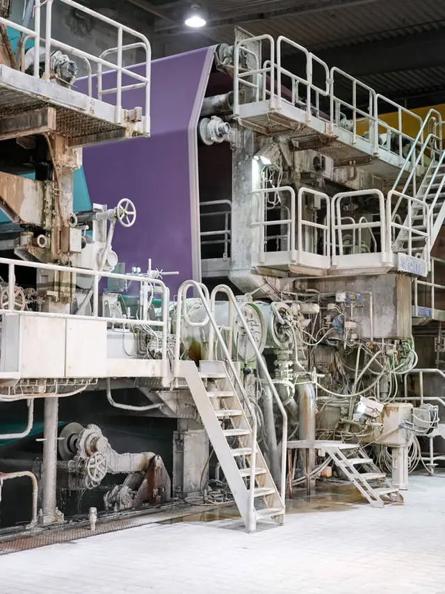 Papiermaschine in Produktionsanlage mit violetter Papierbahn, Walzen, Rohrleitungen und Metalltreppen bei Steinbeis.