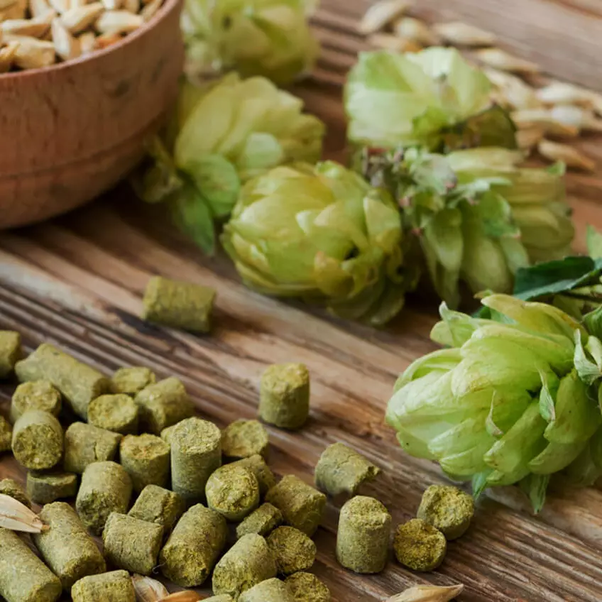 Hopfen auf einem Tisch.