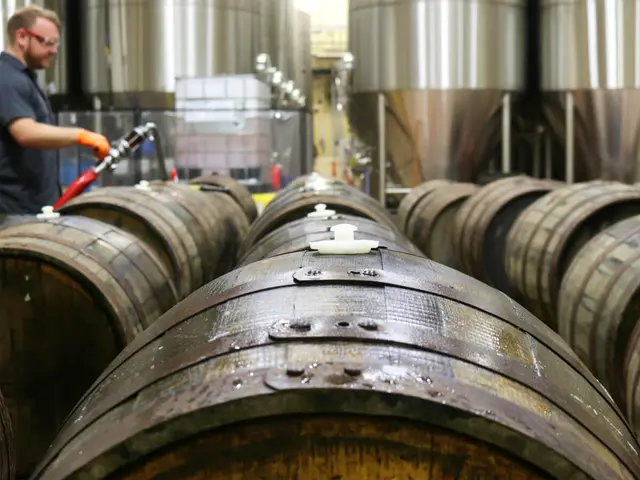 Holzfässer, die mit Bier befüllt werden; im Hintergrund große Gärtanks aus Stahl.