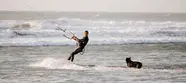 Kitesurfer im Neoprenanzug fährt am Strand, Hund im flachen Wasser, Wellen im Hintergrund.