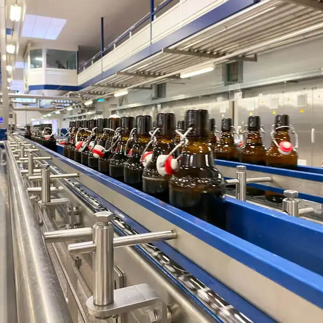 Flensburger Pilsener läuft eine kurze Strecke geöffnet, aber schon befüllt, auf dem Band, bevor der Bügelverschluss geschlossen wird.