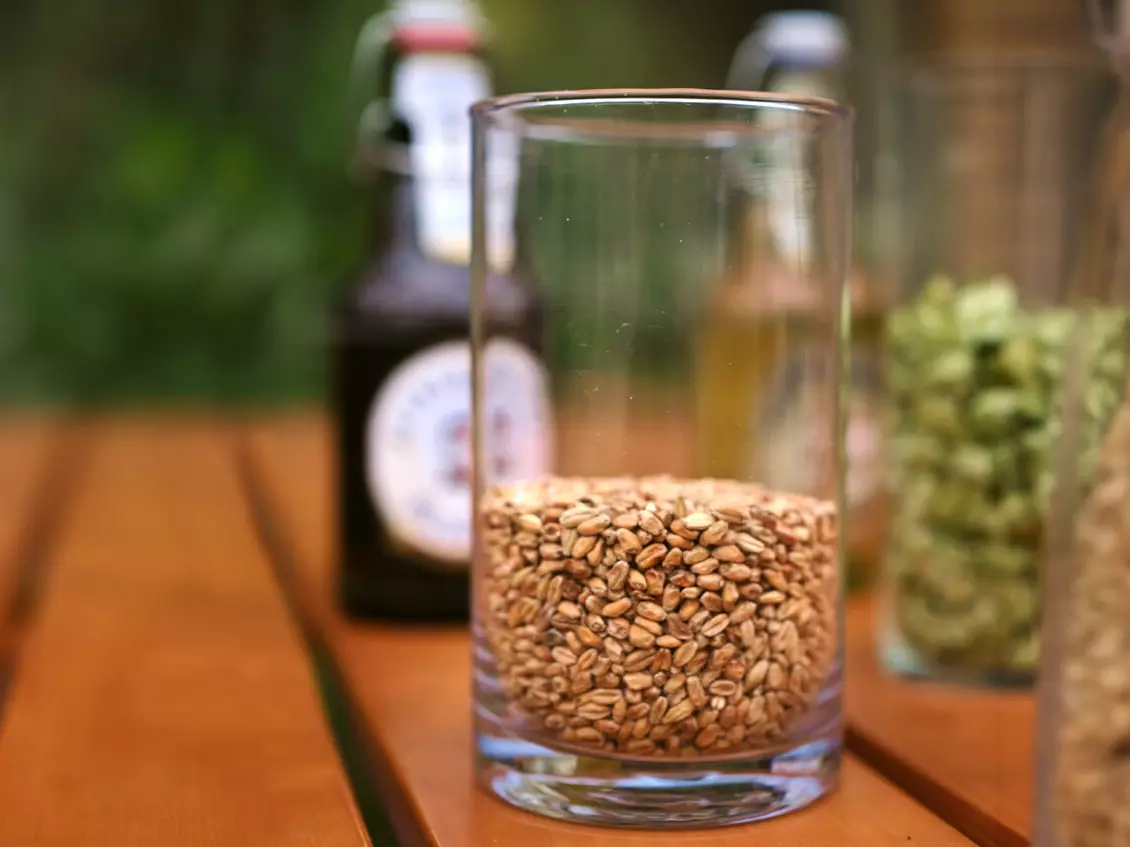 Ein Glas mit hellem Braumalz auf einem Holztisch, im Hintergrund verschwommen zwei Flaschen mit Flensburger Bier und Hopfendolden.