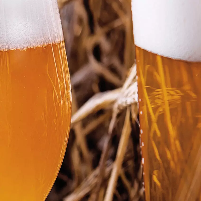 Links ein ungefiltertes Bier, rechts ein klares, transparentes Bier, jeweils eingeschenkt im Glas, vor einem Strohhintergrund.