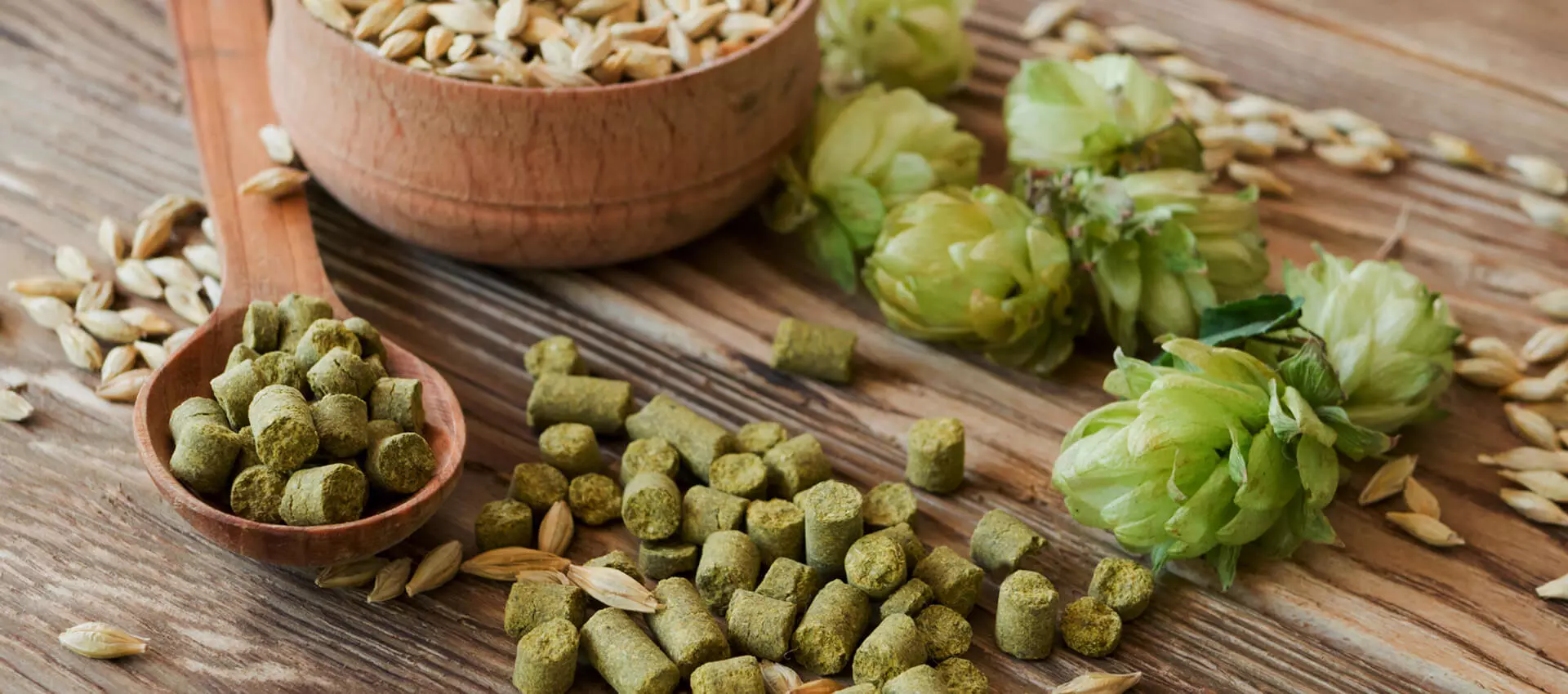 Hopfen auf einem Tisch.