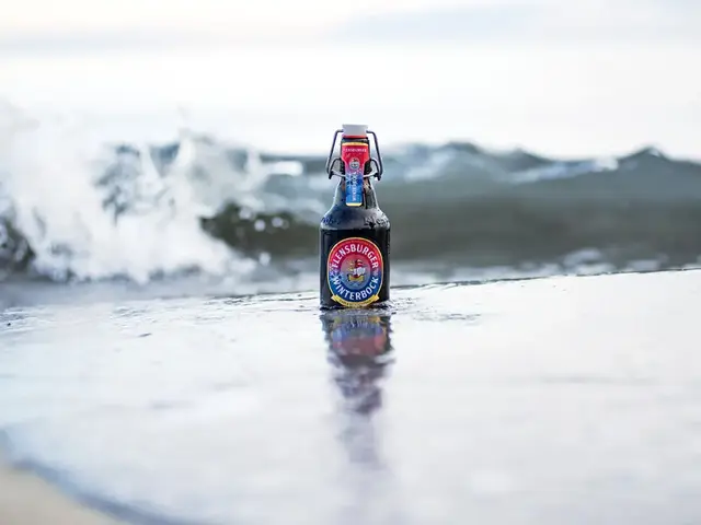 Eine Flasche Flensburger Winterbock steht in der Brandung am Meer in der Welle.