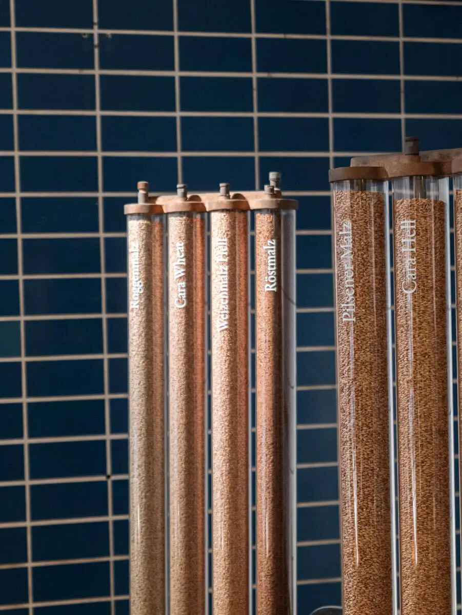 Malzspender: Glasröhren mit verschiedenen Braumalzen vor blau gefliester Wand.
