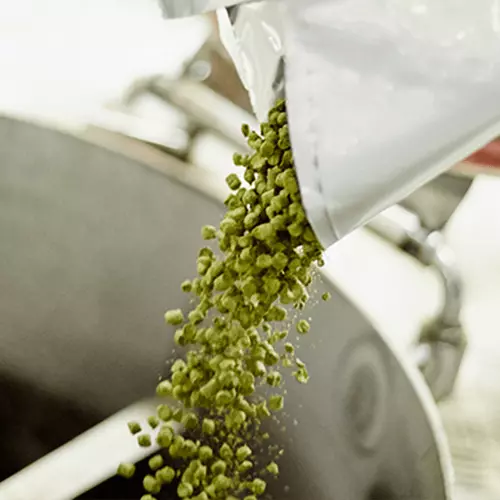 Hopfenpellets werden in den Braukessel geschüttet.
