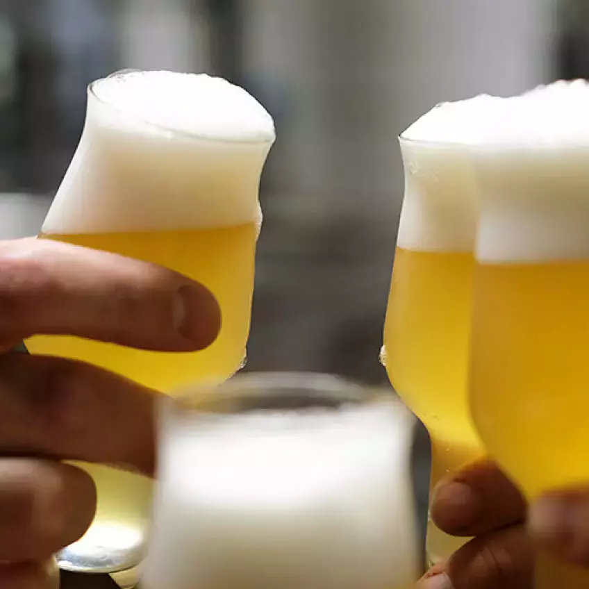 Hände, die mit vier Biergläsern mit trübem Bier und kräftiger Schaumkrone anstoßen.